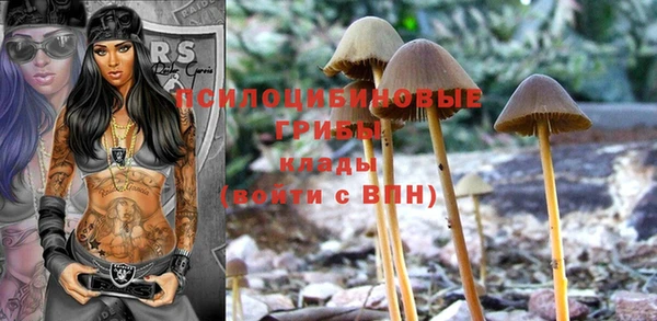 шишки Богданович