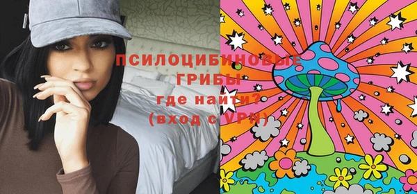 прущий лед Богородск