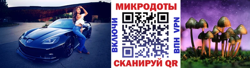 omg онион  Дигора  Галлюциногенные грибы Psilocybe 