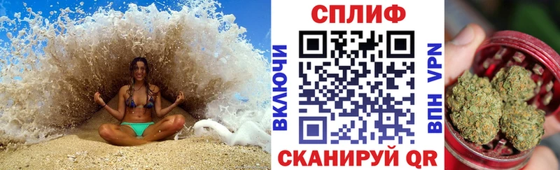 Марихуана сатива Дигора